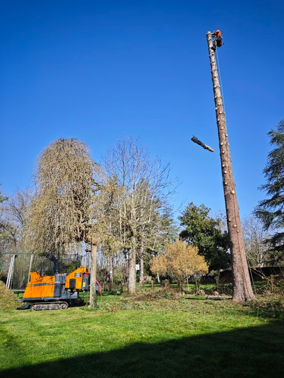 Arborise-Grimpeur - Arvores Elagage